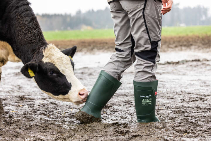 DUNLOP Sicherheitsstiefel Purofort TerraPRO Full Safety S5